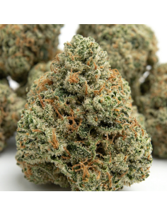 THCX Fleur Super Lemon Haze 1 2