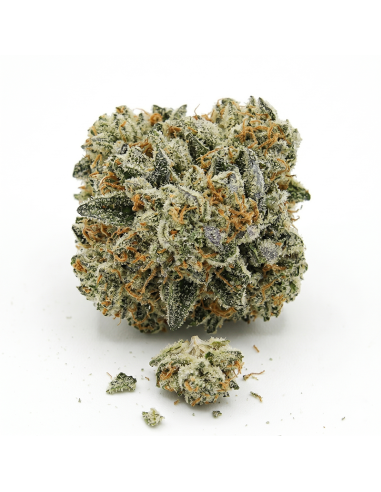 THCX Blüte Sweet Purple Dream | Premium Legal Hanf (≤0,3% THC)