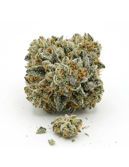 THCX Blüte Sweet Purple Dream | Premium Legal Hanf (≤0,3% THC)