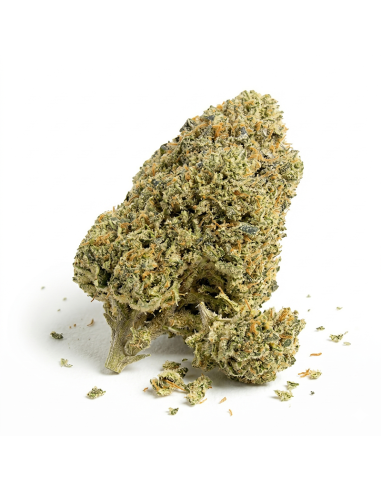 THCX Blüte Wedding Cake | Vanille Geschmack & Entspannung (≤0,3% THC)