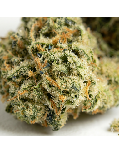 THCX Blüte Wedding Cake | Vanille Geschmack & Entspannung (≤0,3% THC)