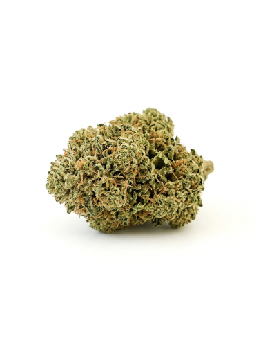 THCX Blüte Zkittlez | Fruchtige Explosion & Entspannung (≤0,3% THC)