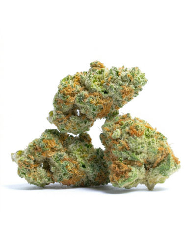 THCX Fleur Runtz | Saveur Bonbon & Équilibre (≤0,3% THC)