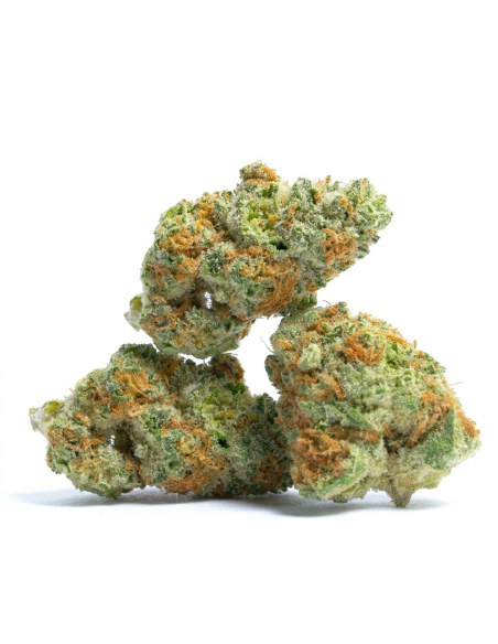 THCX Fleur Runtz | Saveur Bonbon & Équilibre (≤0,3% THC)