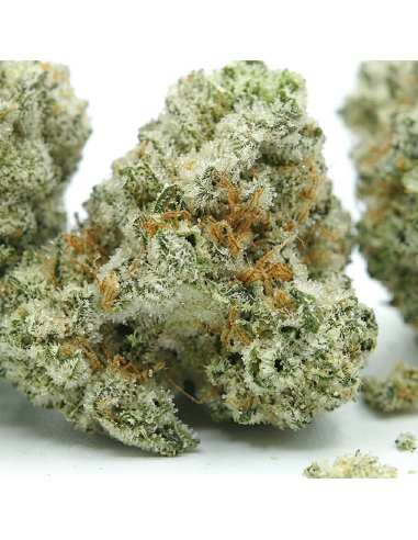 THCX Blüte Vanilla Kush | Süße Vanille & Entspannung (≤0,3% THC)