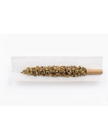 Pré-Roulé THCX Amnesia Haze | Achat Joint Sativa Légal