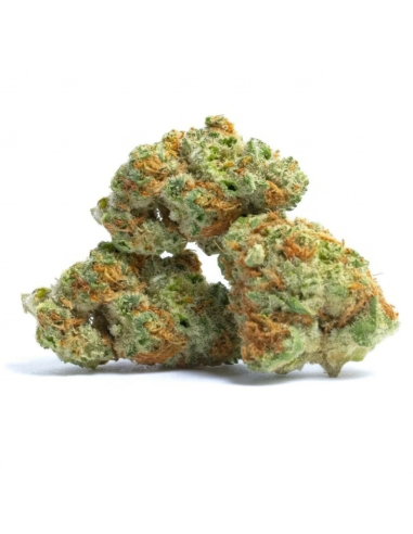 THCX Blüte Runtz | Bonbon-Aroma & Balance (≤0,3% THC)