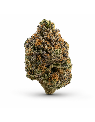 THCX Blüte Bubba Kush | Tiefe Ruhe & Kaffee-Aroma (≤0,3% THC)