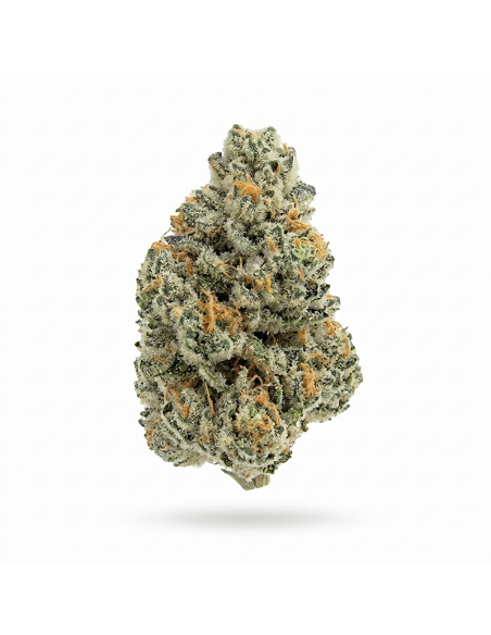 THCX Fleur Amnesia Haze | Énergie & Arômes Boisés (≤0,3% THC)