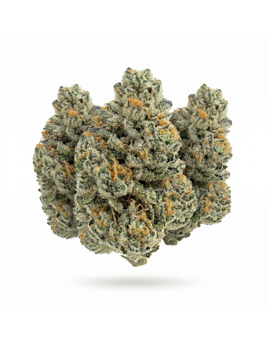 THCX Fleur Amnesia Haze | Énergie & Arômes Boisés (≤0,3% THC)