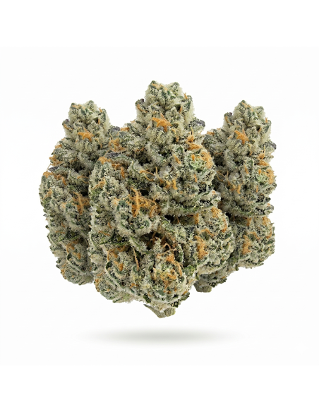 THCX Fleur Amnesia Haze | Énergie & Arômes Boisés (≤0,3% THC)