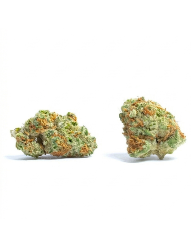 THCX Fleur Runtz | Saveur Bonbon & Équilibre (≤0,3% THC)