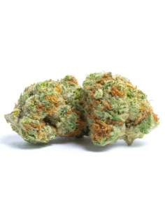 THCX Fleur Runtz | Saveur Bonbon & Équilibre (≤0,3% THC) 2