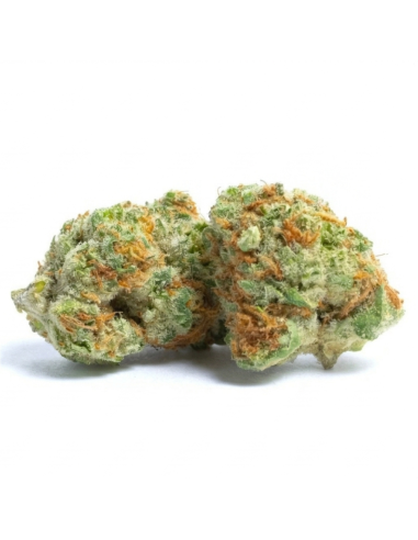 THCX Blüte Runtz | Bonbon-Aroma & Balance (≤0,3% THC)