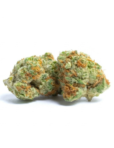 THCX Blüte Runtz | Bonbon-Aroma & Balance (≤0,3% THC)