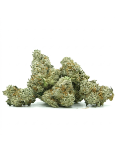 THCX Fleur Vanilla Kush 1