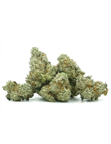 THCX Fleur Vanilla Kush | Détente & Saveur Vanille Douce (≤0,3% THC)