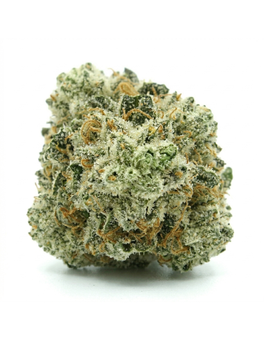 THCX Blüte Vanilla Kush | Süße Vanille & Entspannung (≤0,3% THC)