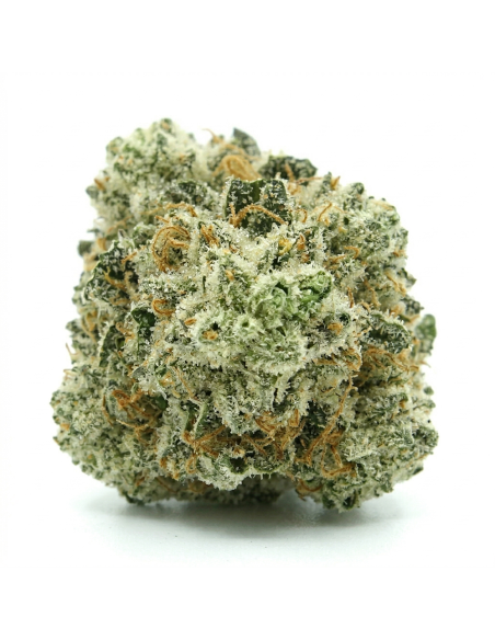 THCX Fleur Vanilla Kush | Détente & Saveur Vanille Douce (≤0,3% THC)