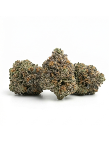 THCX Fleur Bubba Kush | Détente Profonde & Saveur Café (≤0,3% THC)