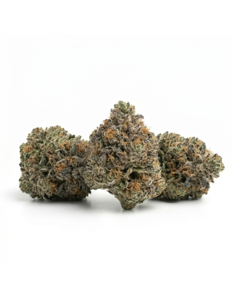 THCX Fleur Bubba Kush | Détente Profonde & Saveur Café (≤0,3% THC)