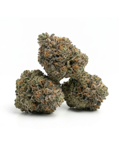 THCX Fleur Bubba Kush 1 2