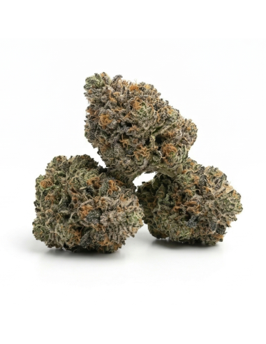 THCX Fleur Bubba Kush | Détente Profonde & Saveur Café (≤0,3% THC)