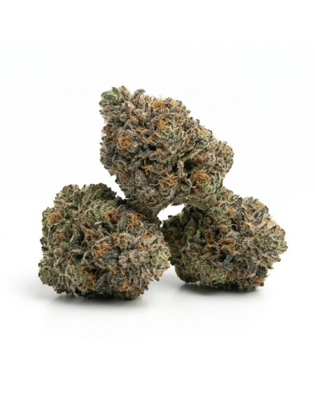 THCX Fleur Bubba Kush | Détente Profonde & Saveur Café (≤0,3% THC)