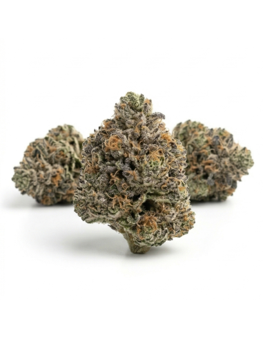 THCX Blüte Bubba Kush | Tiefe Ruhe & Kaffee-Aroma (≤0,3% THC)