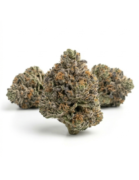 THCX Blüte Bubba Kush | Tiefe Ruhe & Kaffee-Aroma (≤0,3% THC)