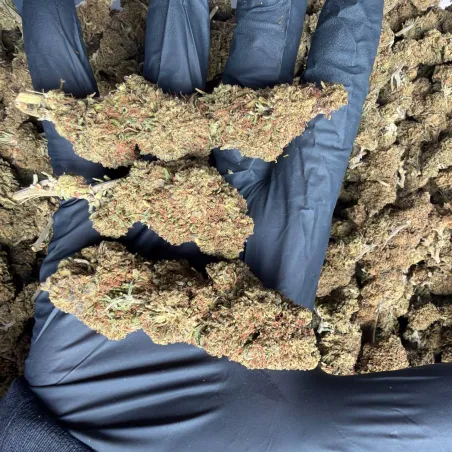 White Widow: THCX flower