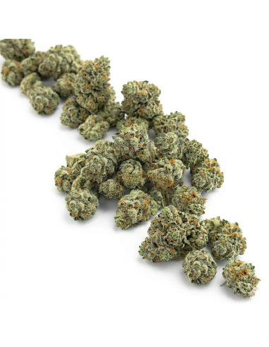 THCX Fleur Amnesia Haze 1