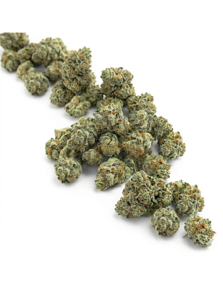 THCX Fleur Amnesia Haze 1