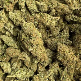 Orange Gelato: THCX flower