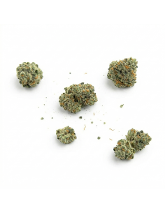 THCX Fleur Amnesia Haze | Énergie & Arômes Boisés (≤0,3% THC) 2