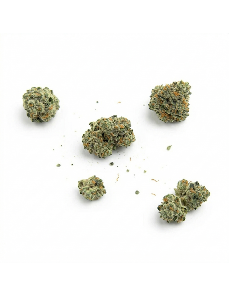 THCX Fleur Amnesia Haze 2