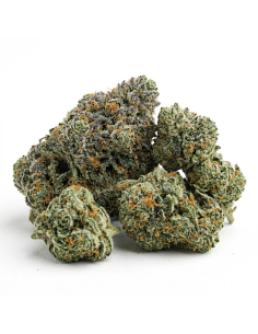 THCX Fleur OG Kush 1