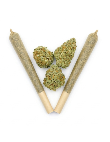 THCX Pre-Roll Sweet Purple Dream | Legalen Joint Kaufen