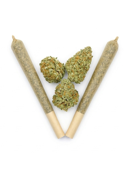 Pré-Roulé THCX Sweet Purple Dream | Achat Joint Légal