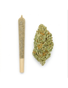 Pré-Roulé THCX Sweet Purple Dream | Achat Joint Légal 2