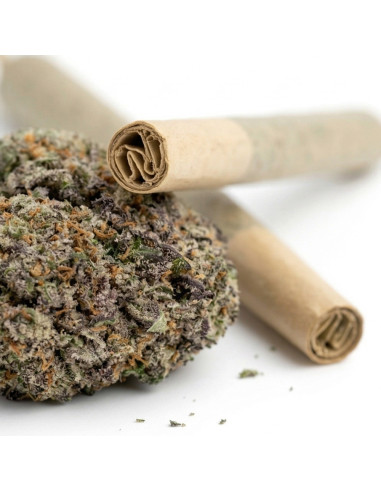 Pre-Roll THCX OG Kush 3