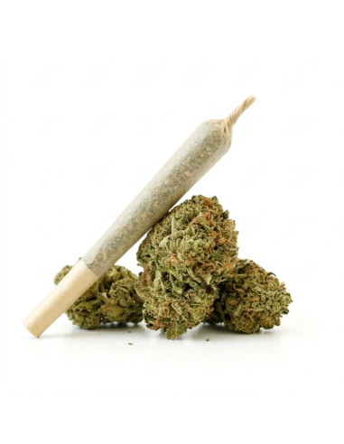 Pré-Roulé THCX Zkittlez | Achat Joint Légal Fruité