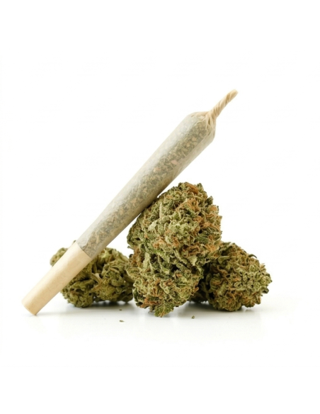 Pré-Roulé THCX Zkittlez | Achat Joint Légal Fruité