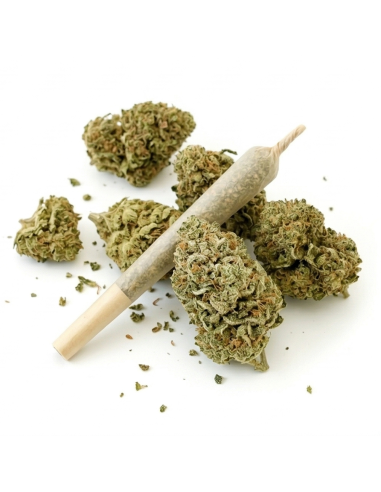 Pre-Roll THCX Zkittlez 3