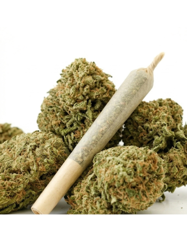 Pré-Roulé THCX Zkittlez | Achat Joint Légal Fruité