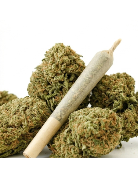 Pre-Roll THCX Zkittlez 4