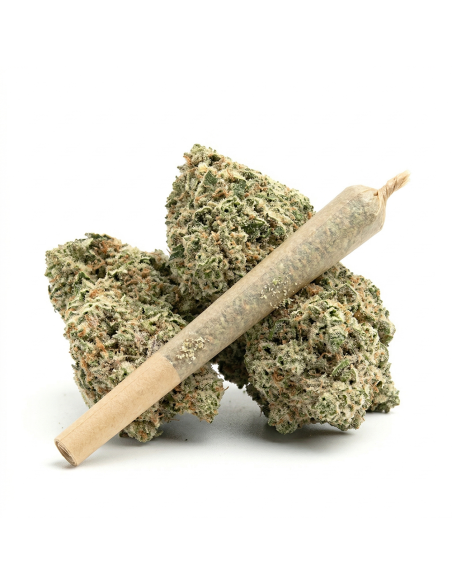 Pré-Roulé THCX Super Lemon Haze | Joint Sativa Légal