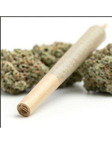 Pre-Roll THCX Super Lemon Haze 5