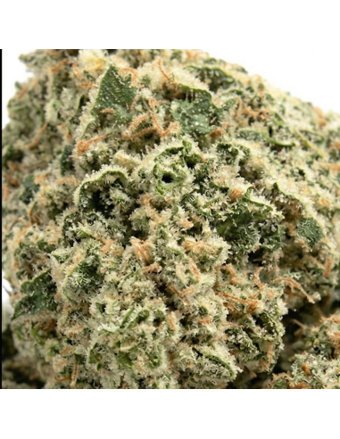 Pré-Roulé THCX Super Lemon Haze | Joint Sativa Légal