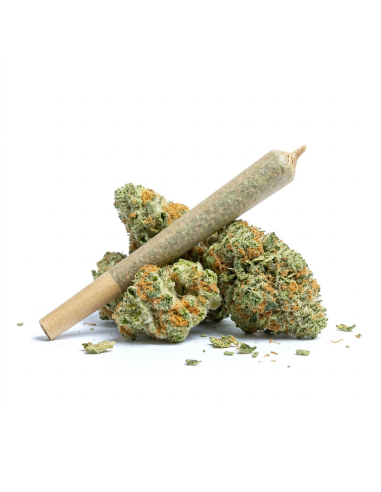 Pre-Roll THCX Runtz main